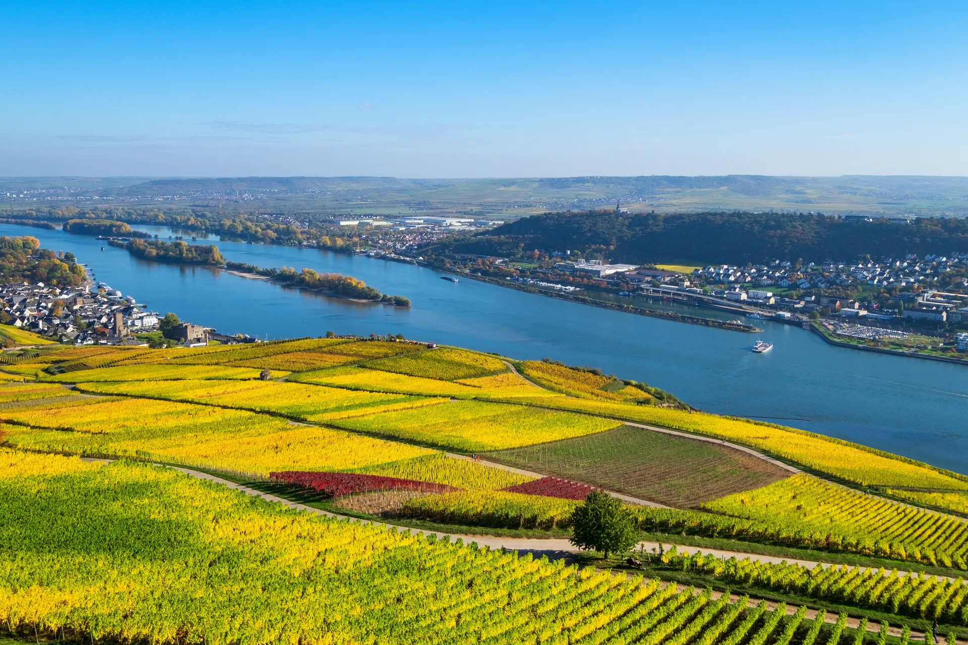 Rijnromantiek naar Rüdesheim met mps Serenade 2 1 Rijnromantiek naar Rüdesheim met mps Serenade 2